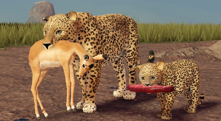 Savannah Life Codes (May 2026)