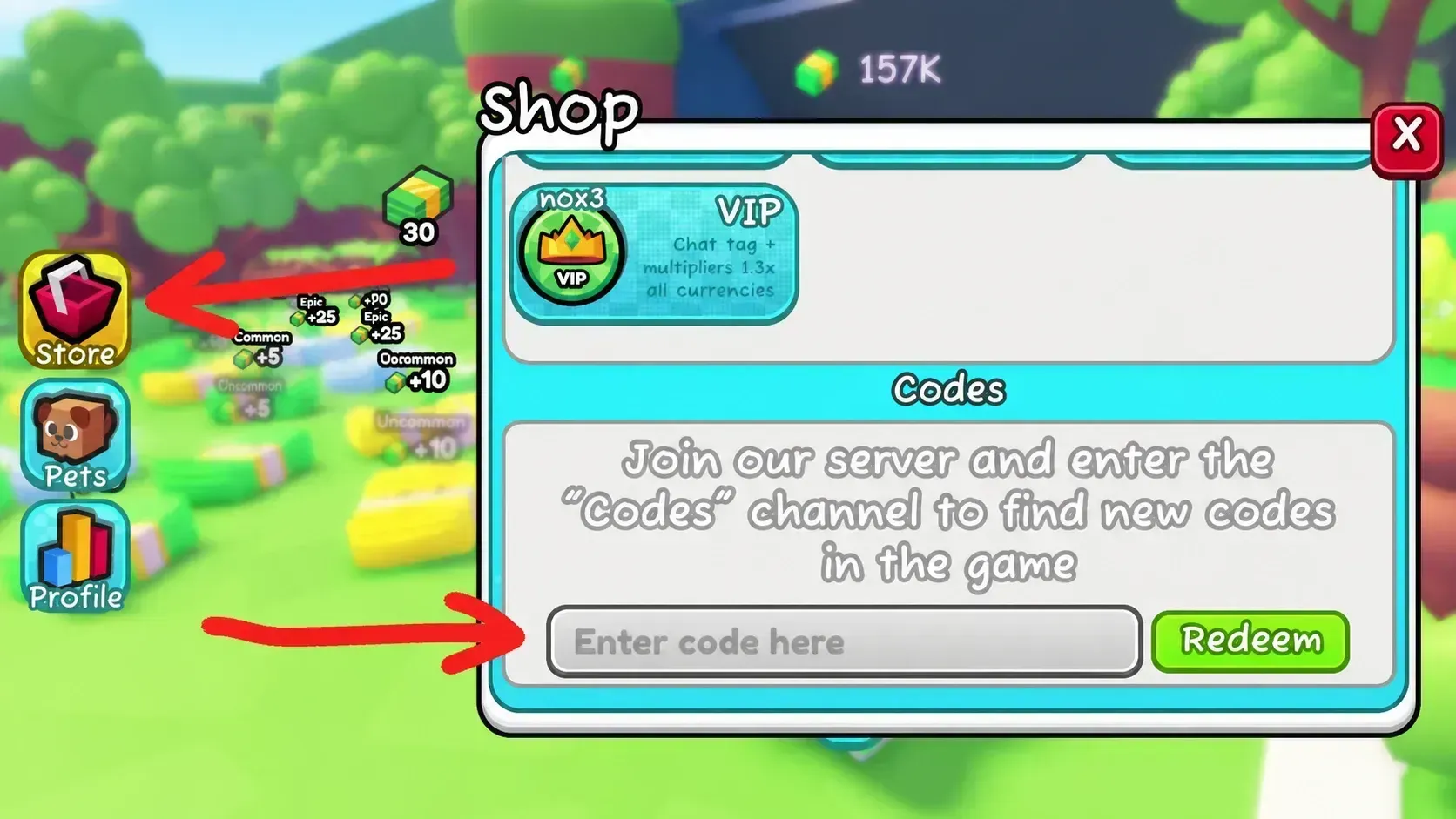 How To Redeem Pets RNG Codes