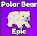 Polar Bear