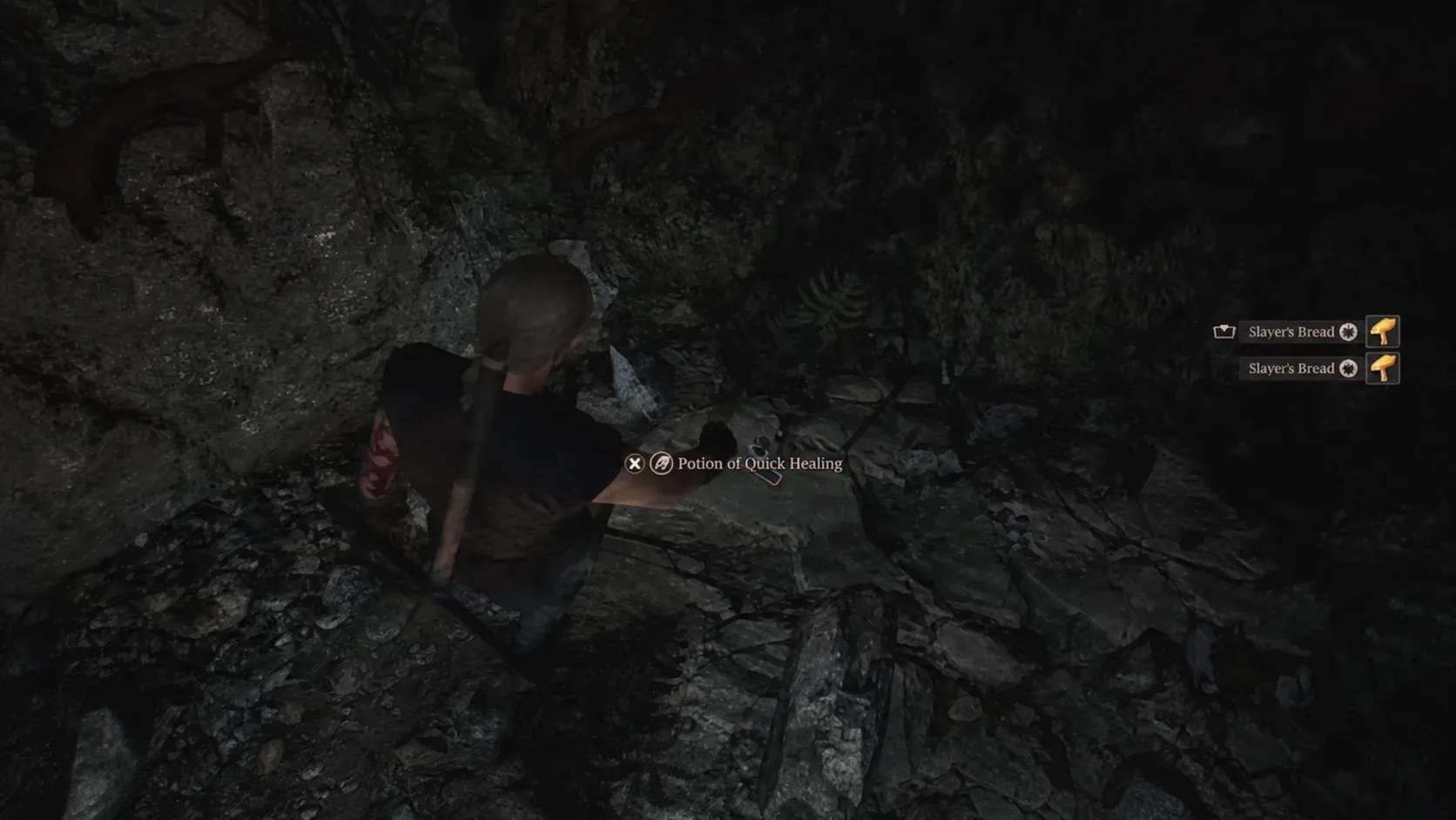 Potion of Quick Healing in Gothic 1 Remake