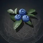 Blueberry