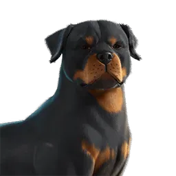 EsDeeKid’s Cerberus