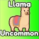 Llama
