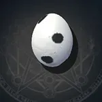 Seagull Egg
