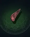 Orc Ears