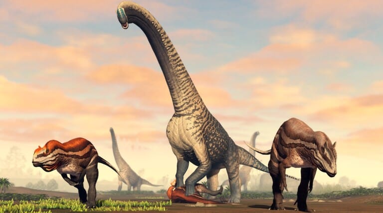 Prior Extinction Codes (June 2026)