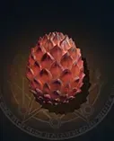 Ancient Dragon Egg