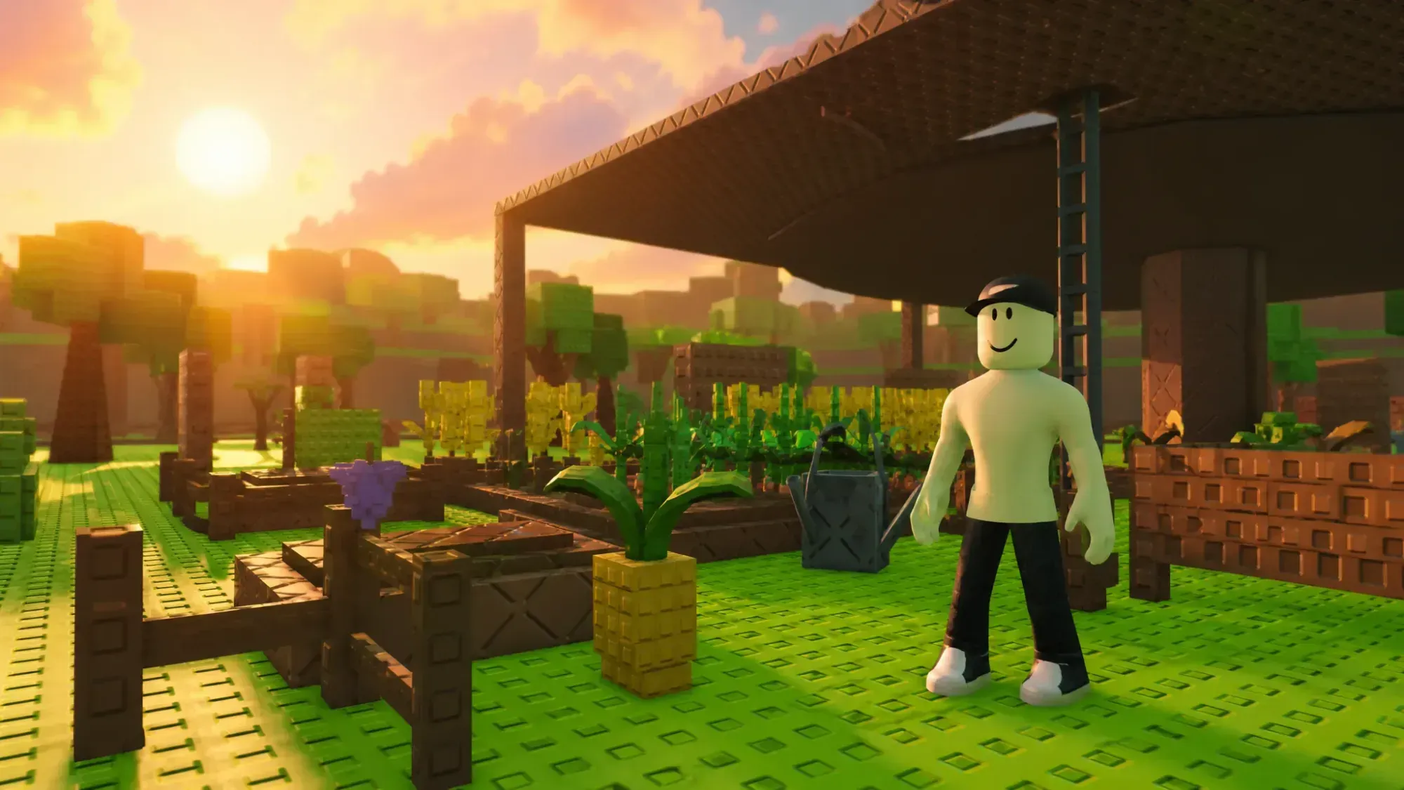 Build a Ring Farm Farm Skins: Effects, Costs, and How to Equip Them