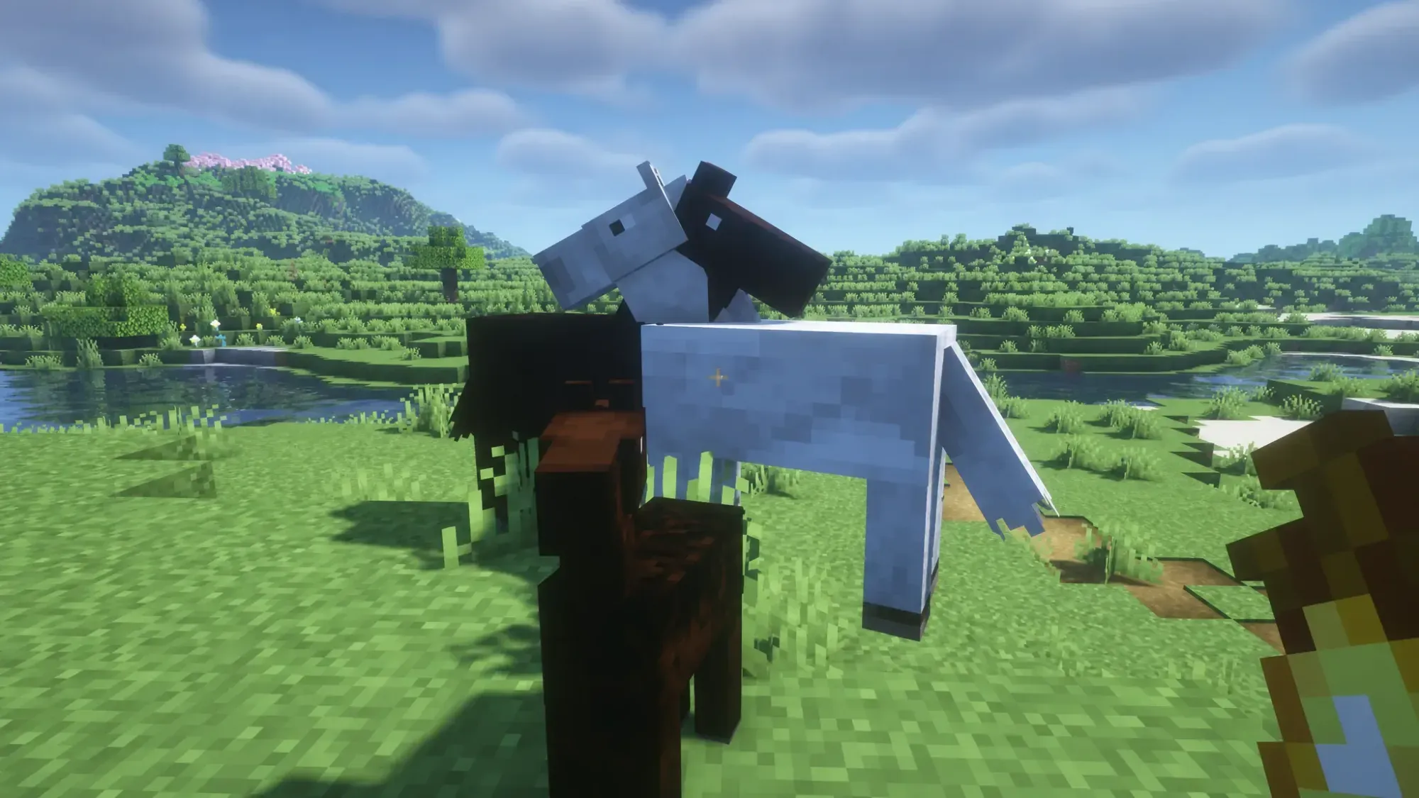 How to Breed a Horse in Minecraft