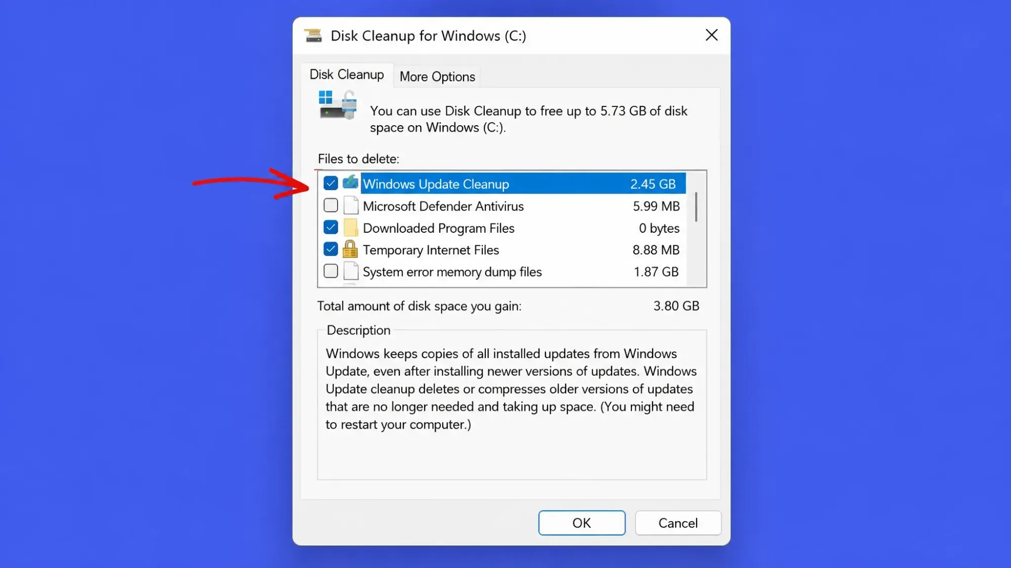 Windows Update Cleanup in Disk Cleanup Wizard