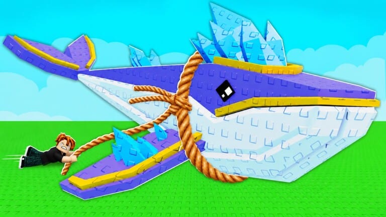 Catch and Tame Codes (June 2026)