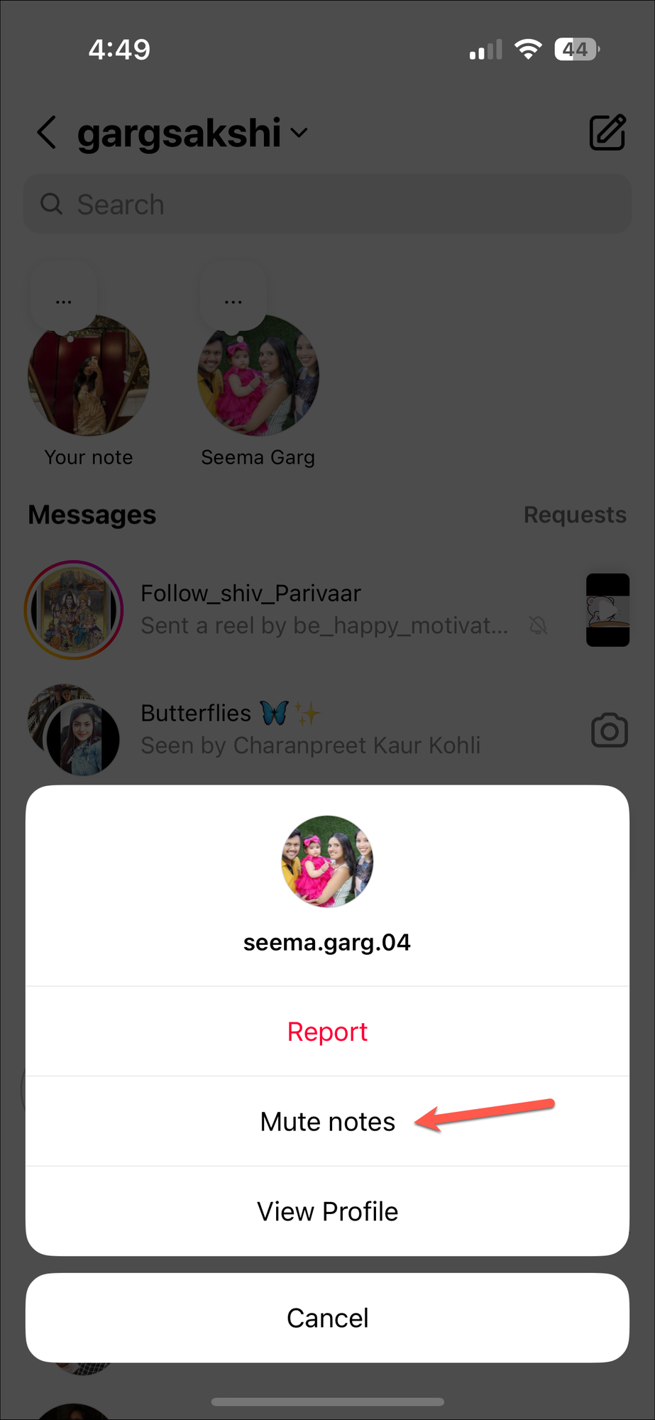 How to See Notes on Instagram