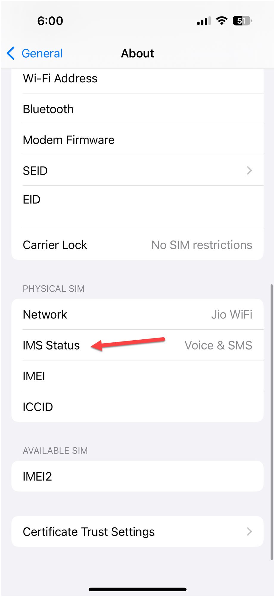 How to check if your carrier supports RCS messaging on iPhone