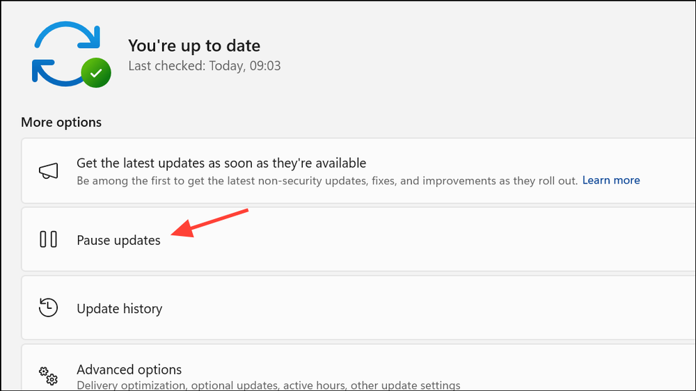 Pause Updates for 20 Years on Windows 11