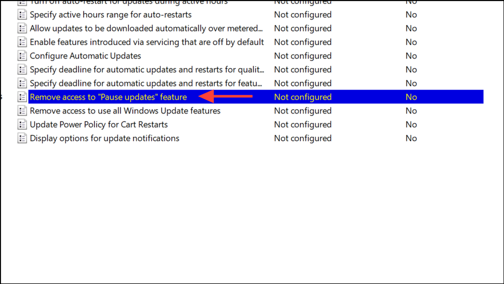 Pa Using Automatic Updates Forever Pause Updates for 20 Years on Windows 11