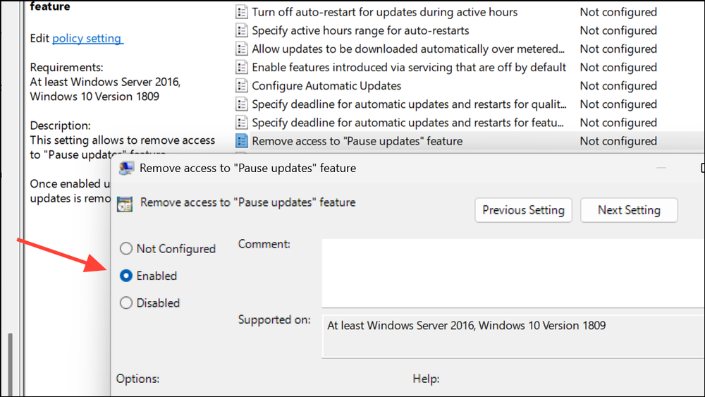 Pa Using Automatic Updates Forever Pause Updates for 20 Years on Windows 11