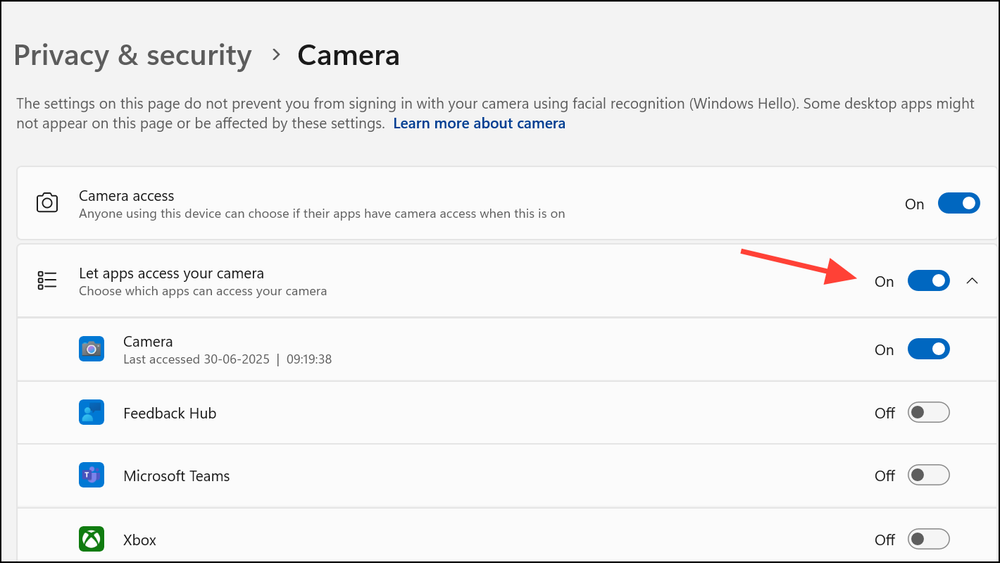 How to Fix Camera Error 0xA00F4243 in Windows 11