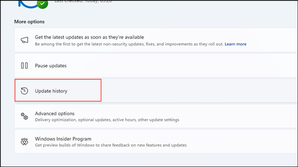 How to fix Display Resolution greyed out on Windows 11