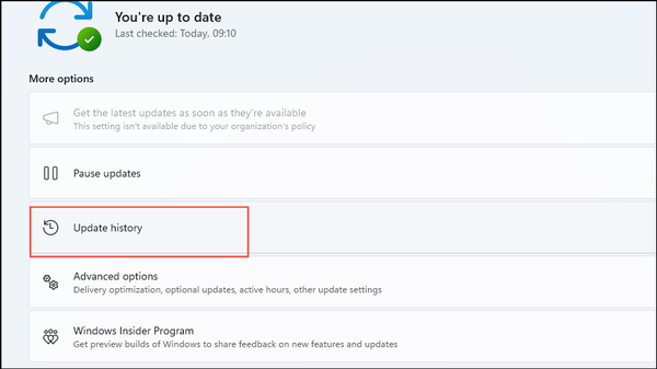 How to fix 0x800f0985 Windows Update Error