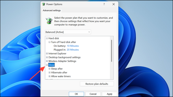 Fix PC Does Not Wake Up from Sleep in Windows 11