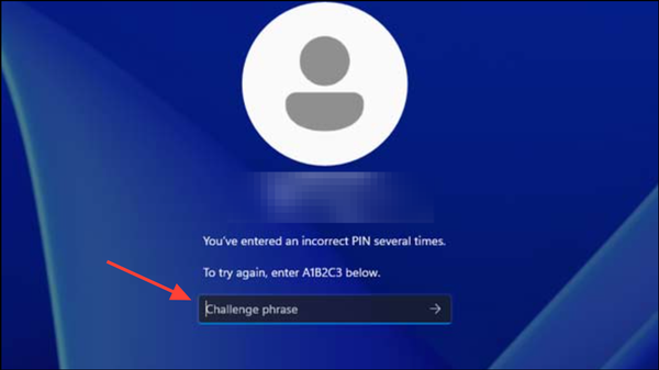 How to Fix “You’ve Entered an Incorrect PIN Too Many Times” Error in ...