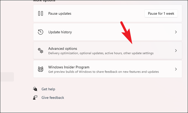 How to Update Camera Driver on Windows 11