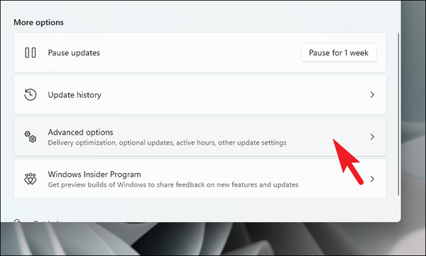 Driver Update Visual How to Update Graphics Driver in Windows 11
