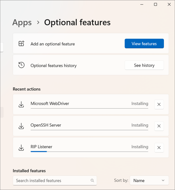 W Features Included How to Install Optional Features in Windows 11