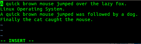 Bash ‘For’ Loop: Tutorial and Examples