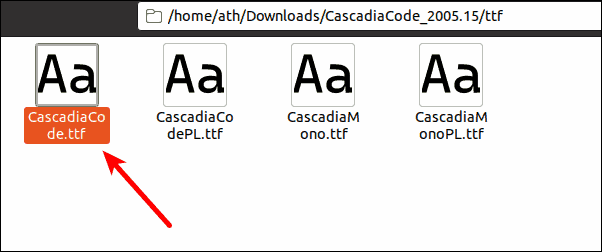 Select CascadiaCode.ttf