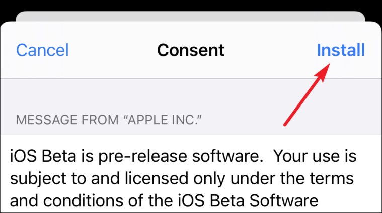 consent to download and install ios 15 beta