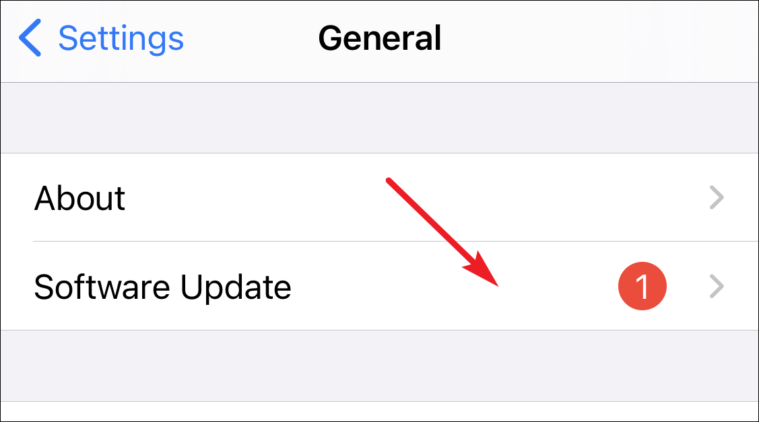 tap on software update to locate iOS 15 beta