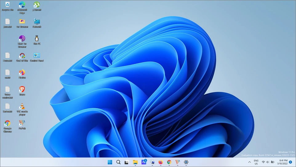 Taskbar before size adjustment