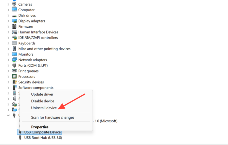 USB Drive Not Showing Up in Windows 11: How to Fix It