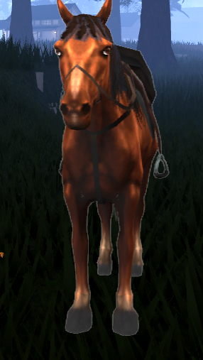 Dokkodo - Trail Horse