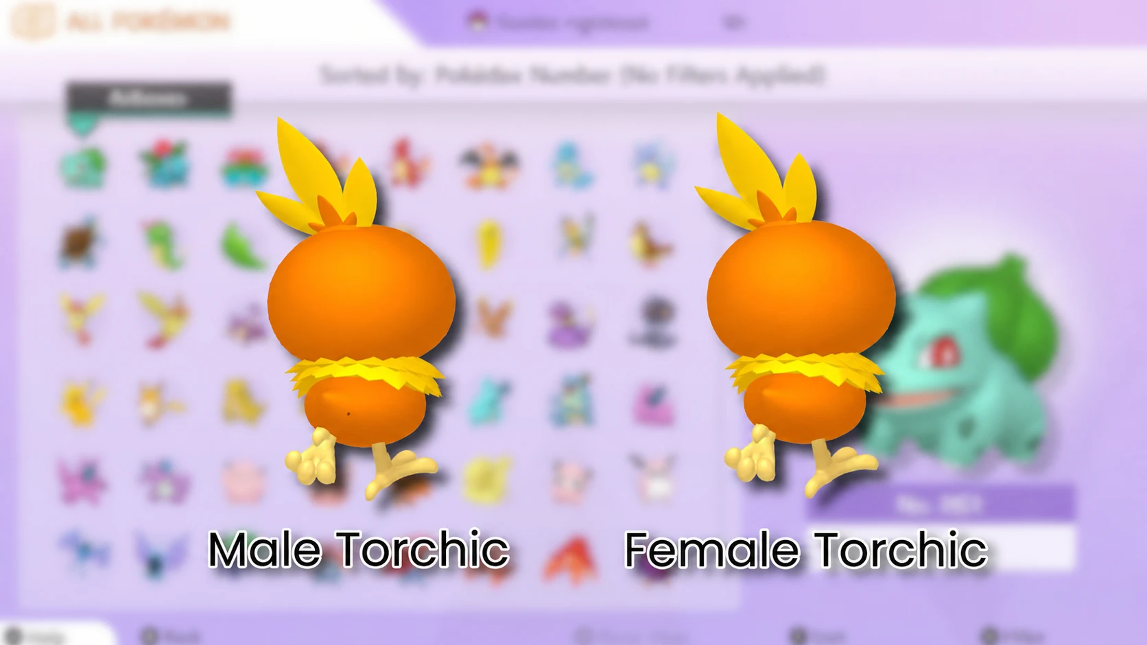 Pokemon living Pokedex calculated: A side-by-side comparison of Torchic's Pokemon Home back sprites, with one labeled Male Torchic and one labeled Female Torchic, on a blurred Pokemon Home background with a PT logo in the top right corner