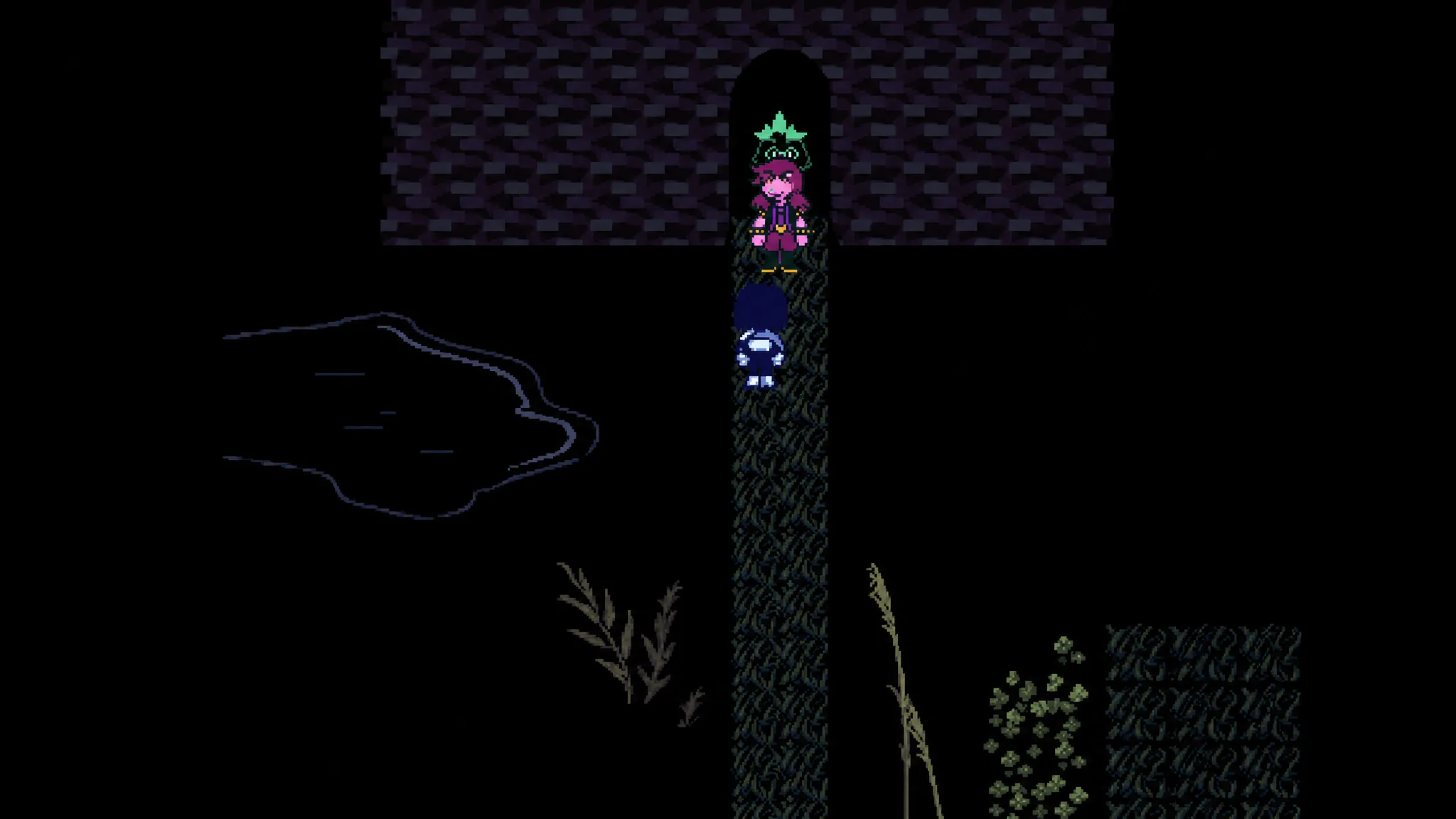Cave opening that leads to Aqua