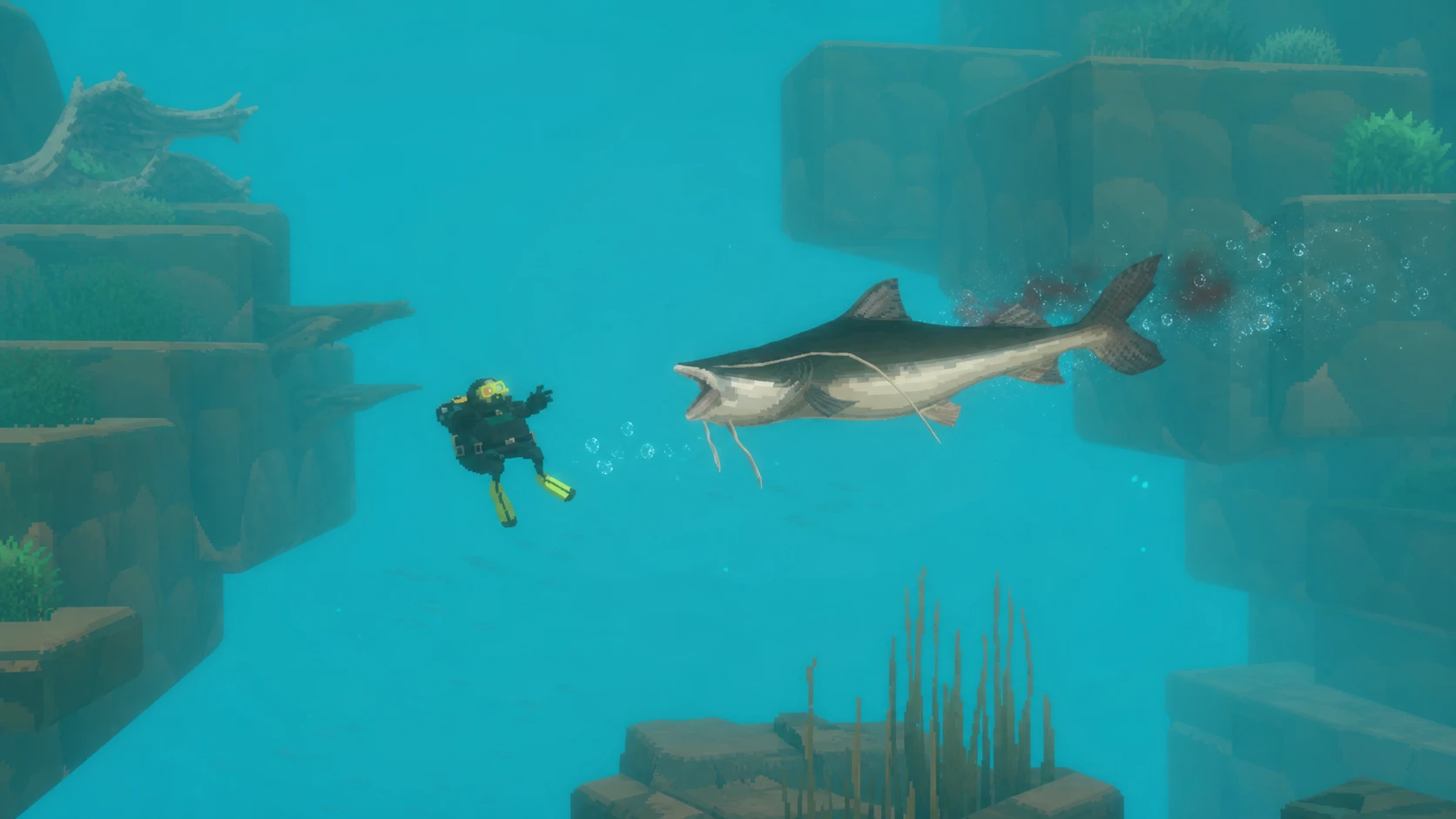 A large fish attacking Dave