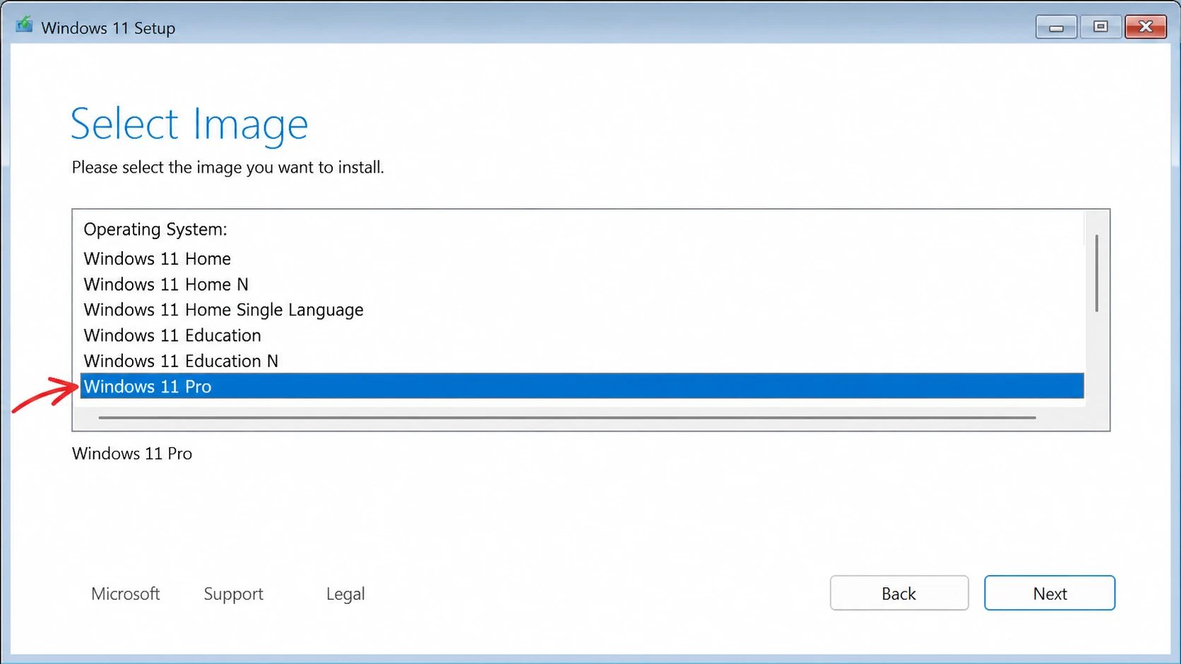 Choose edition of Windows option