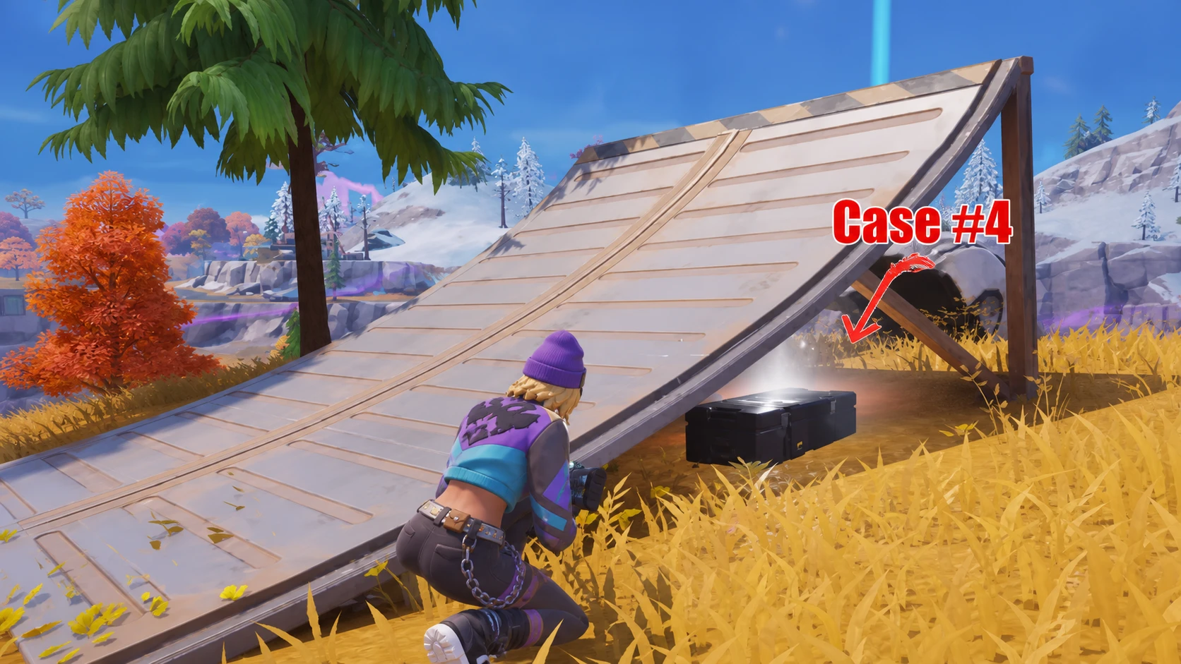 Stealth Guardian Missing Cases Fortnite
