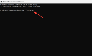 Meccha Chameleon Private Server Not Showing Up – How to Fix It