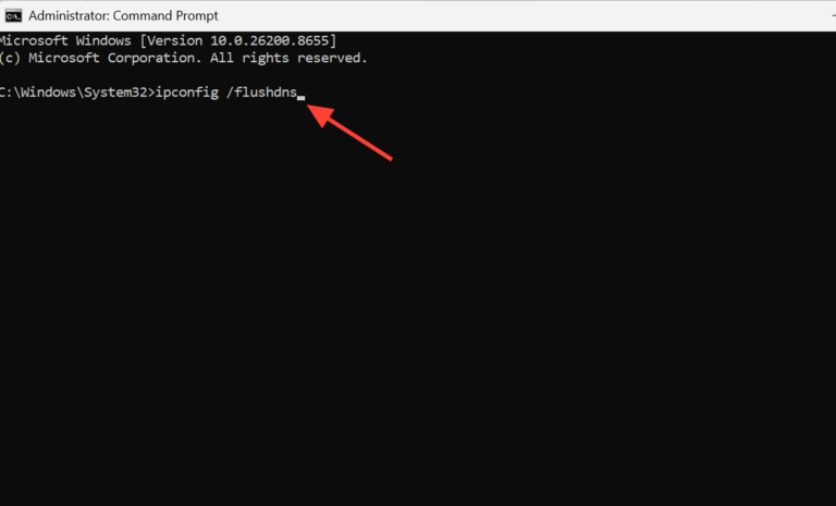 Meccha Chameleon Private Server Not Showing Up – How to Fix It