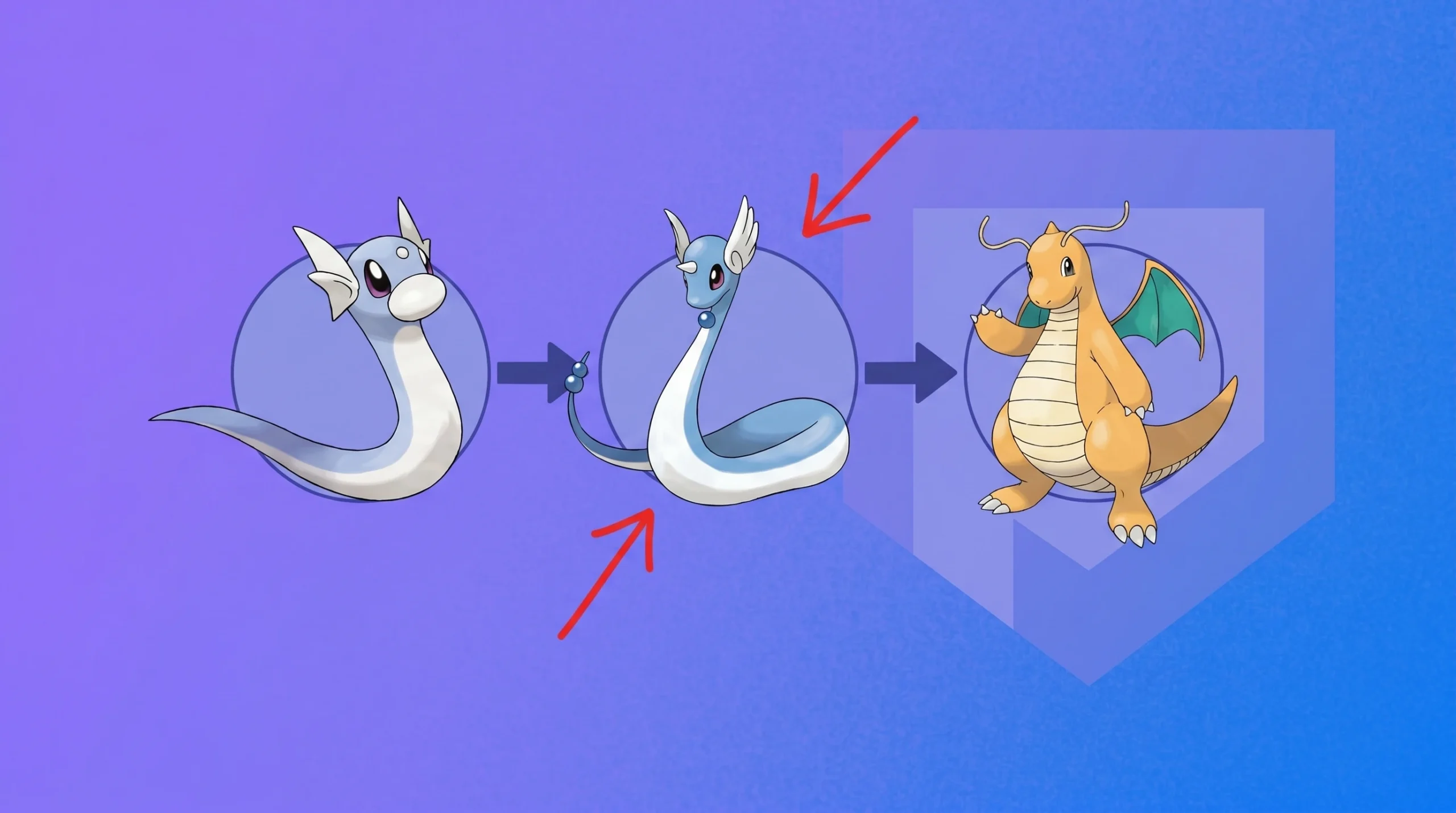Pokemon Dratini: dratini, dragonair, and dragonite in front of blue circles