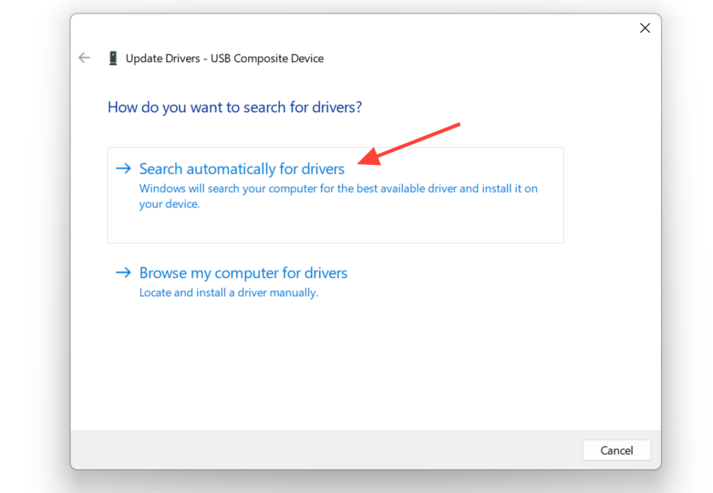 USB Drive Not Showing Up in Windows 11: How to Fix It