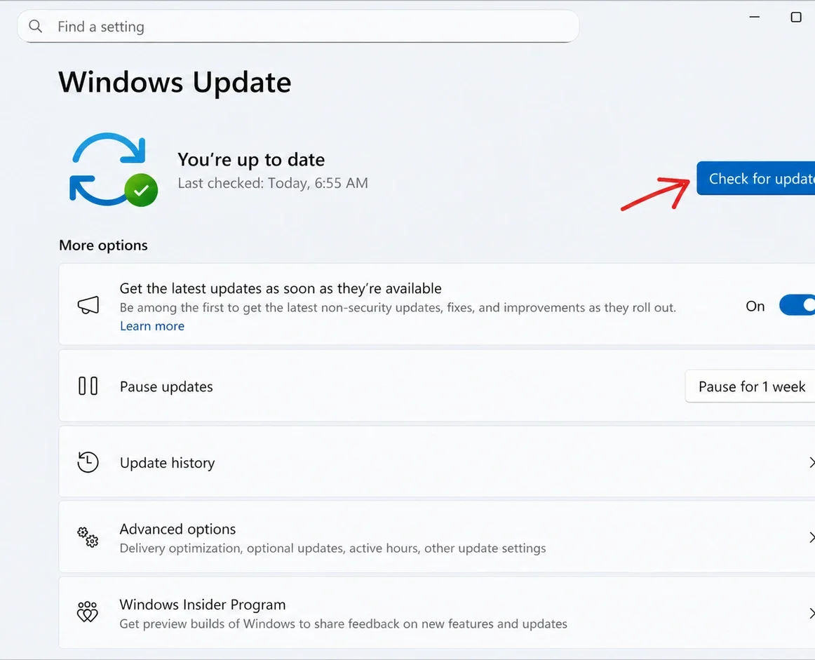 Windows 11 Insider build install