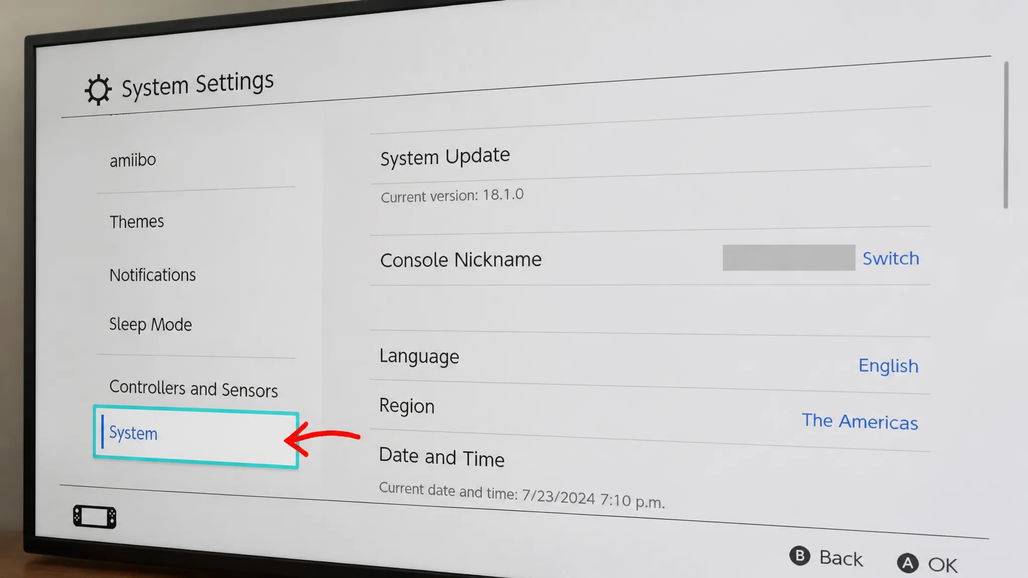 Nintendo Cache Reset 2
