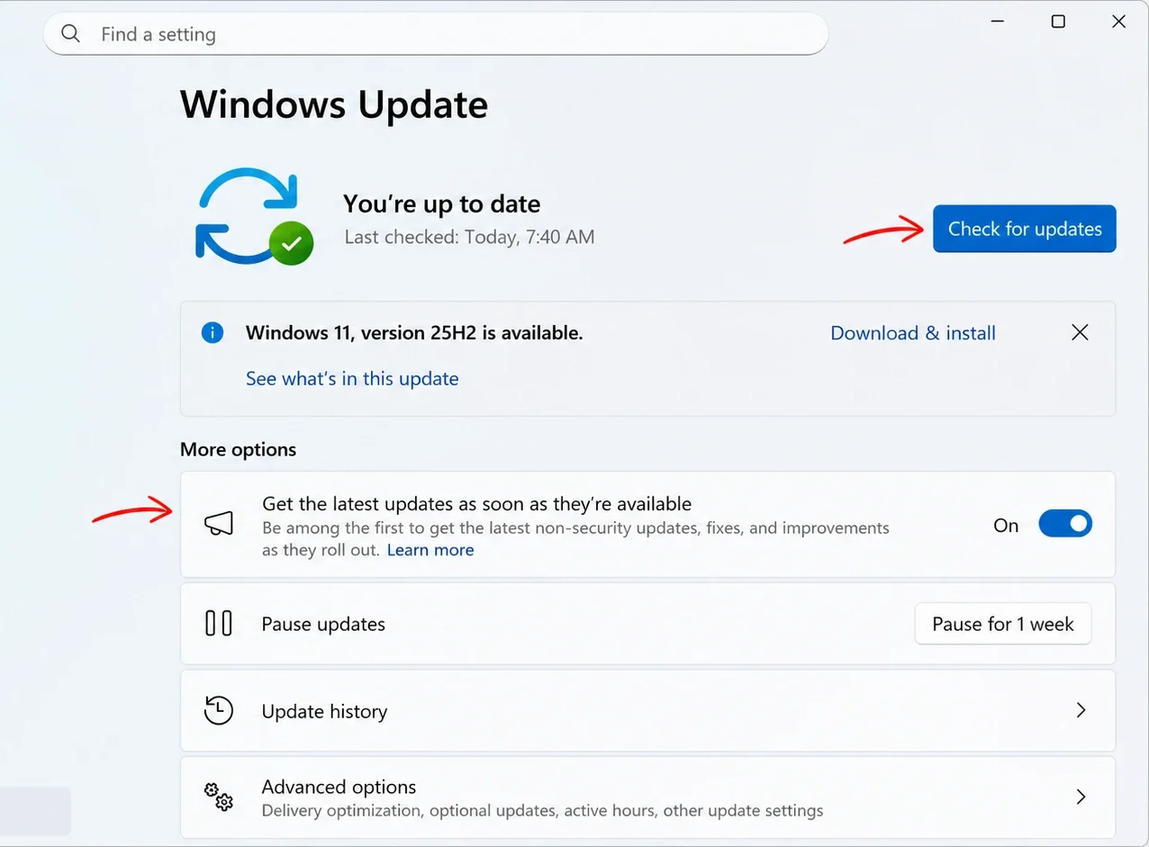 Windows 11 check and install updates