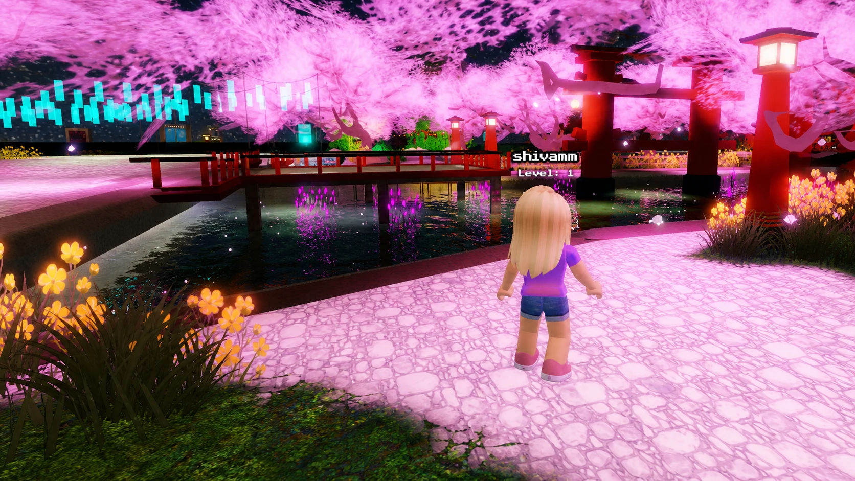 In-game screenshot for Evernight Codes