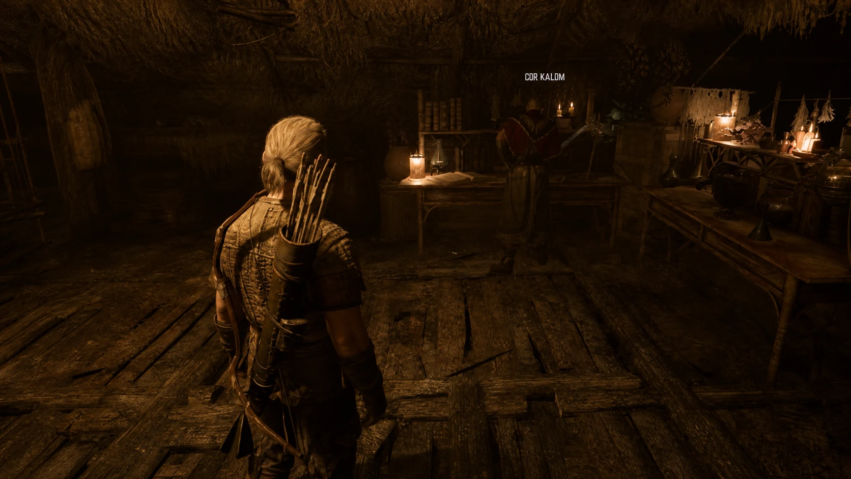Cor Kalom in the Swamp Camp alchemy lab