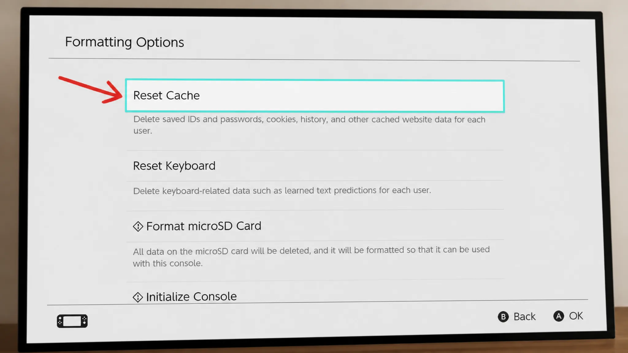 Nintendo Cache Reset 4